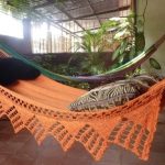 mayan and brazilian hammocks