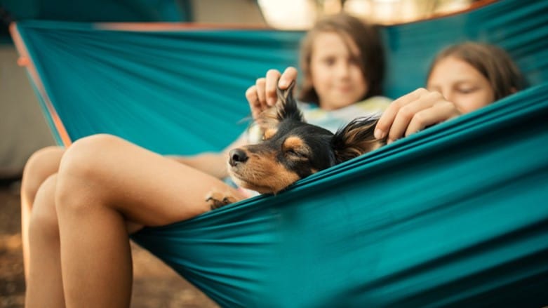 2 kids sitting with dog in a hammock